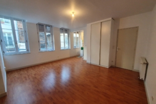 Joli T1 de 37 m² en centre ville de Vienne