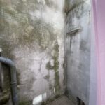Joli appartement T2