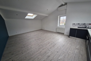 Bel appartement T3 bis de 75 m² proche centre-ville Bel appartement T3 bis de 75 m² proche centre-ville