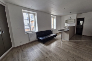 Studio rénové centre-ville de Vienne